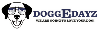 About doggEdayz Dog Daycare & Boarding in Westminster, CO